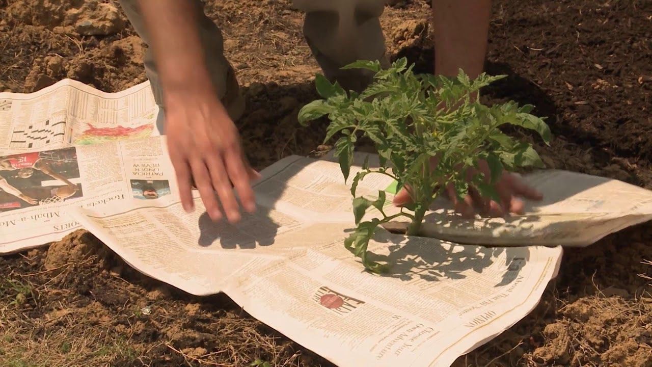 Старе стає новим: 3 дивовижні лайфхаки з газет, які зекономлять ваш час і гроші