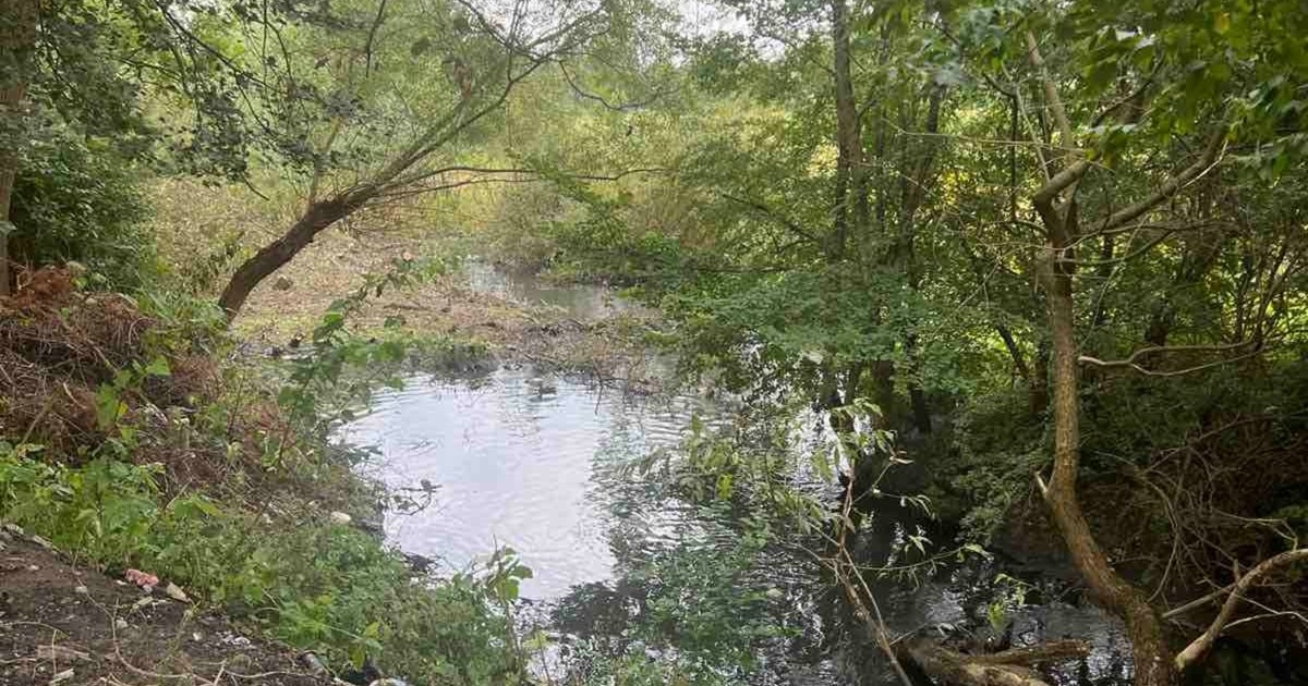 Порятунок водних артерій: Львівщина готується до очищення найпроблемніших річок у 2023