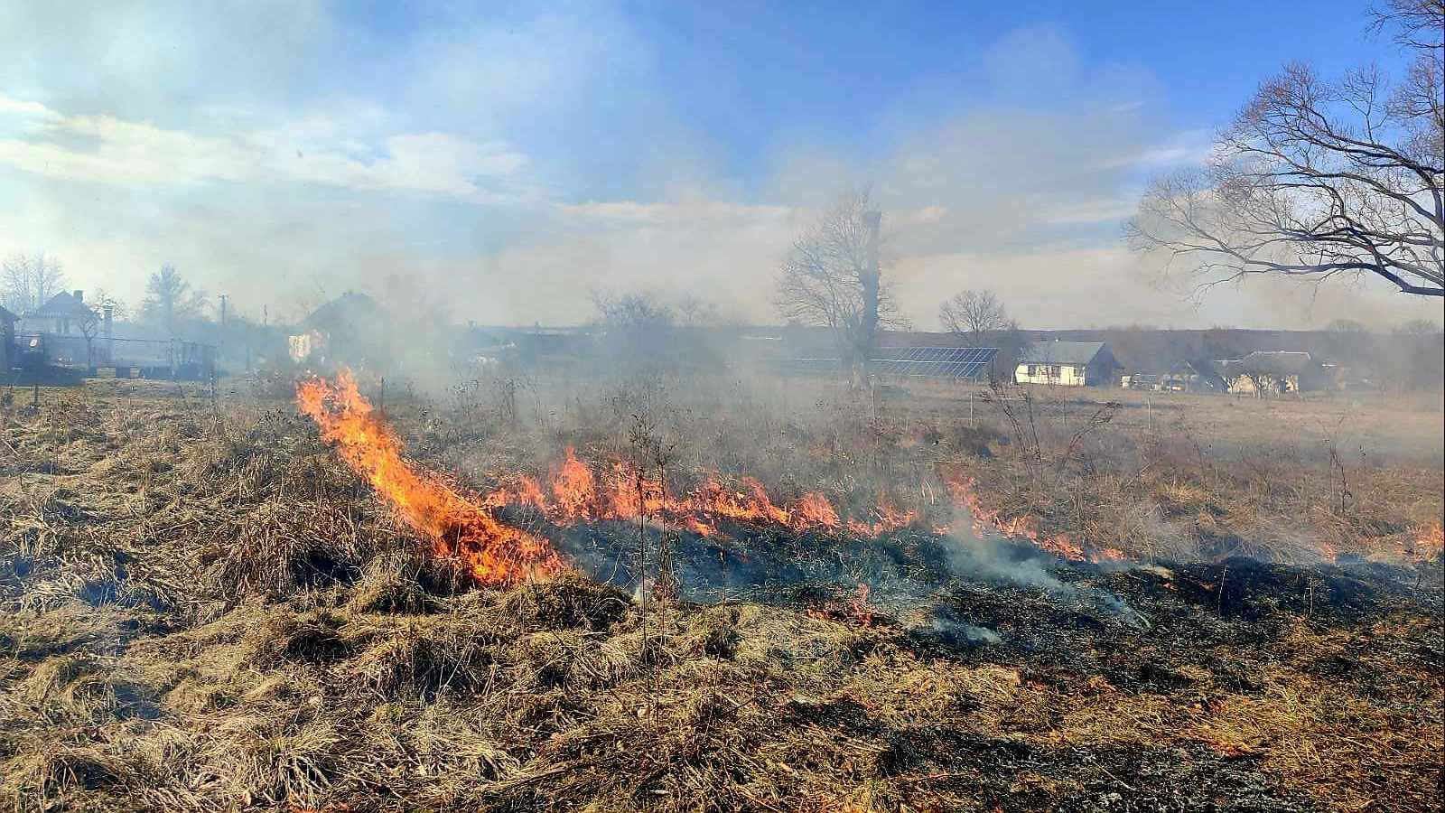 Вогненна спалах на Прикарпатті: понад 1000 пожеж в екосистемах від початку року
