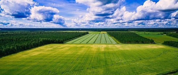 Податкова Львівщини: Перелік тих, хто звільняється від сплати земельного податку