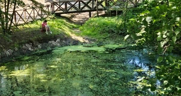 Прикарпатський потічок: Жертва аномальної посухи – унікальна водойма зникає на очах