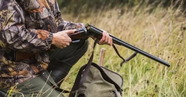Депутати легалізують полювання на рідкісні види: скандальний законопроєкт викликав хвилю обурення в суспільстві