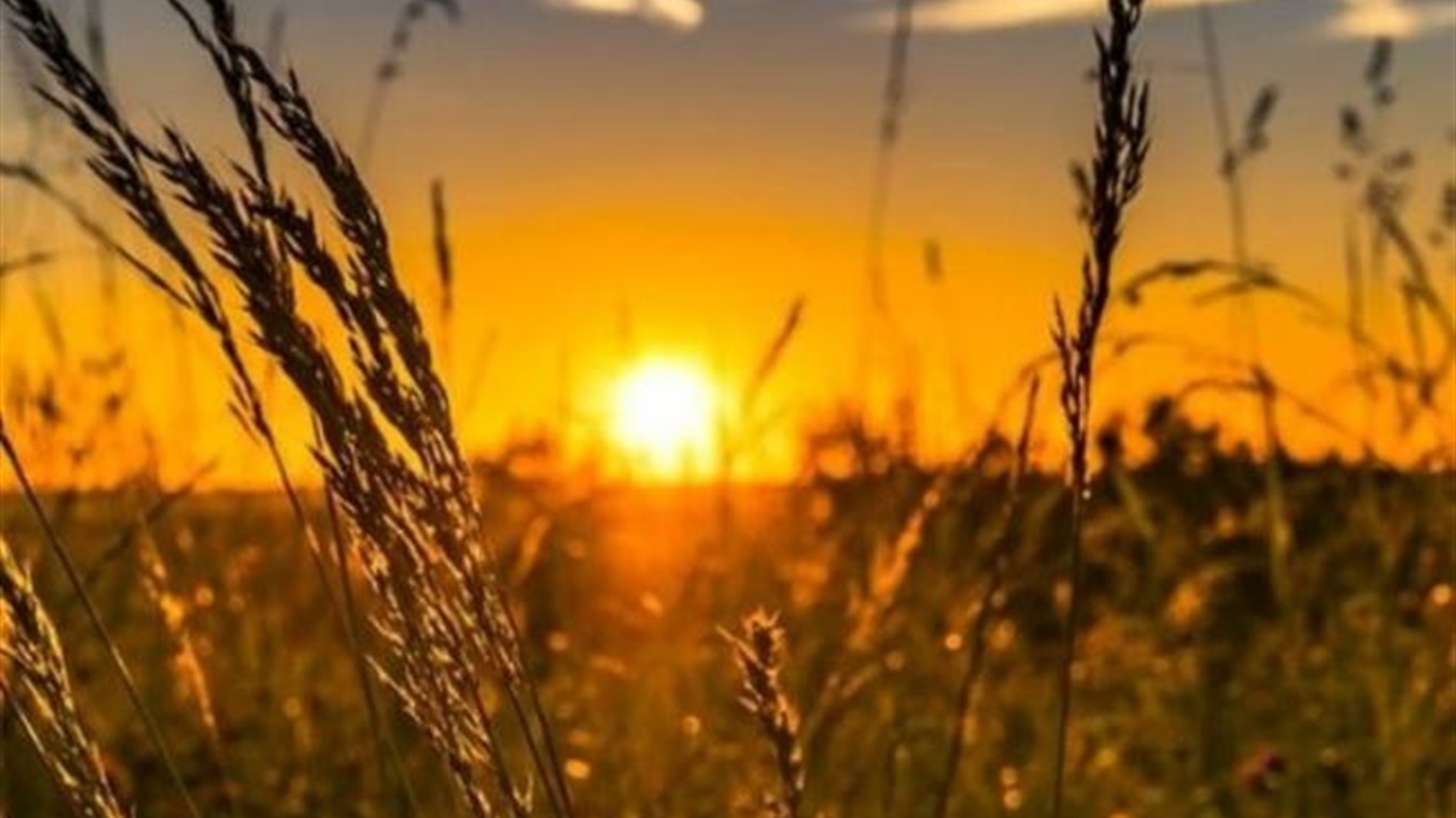 Комфортне тепло заливає Львівщину: синоптики обіцяють до +25°C на 25 серпня