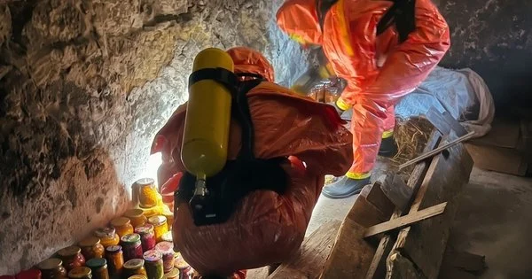 Отруйний удар по родині: трагедія на Тернопільщині після боротьби з гризунами