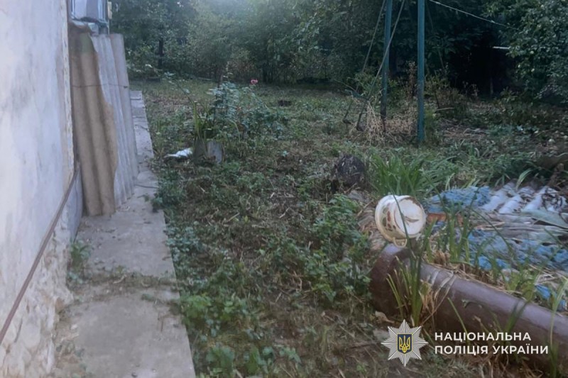 Трагедія на Лановеччині: чоловік застрелив сусідського кота у приступі люті