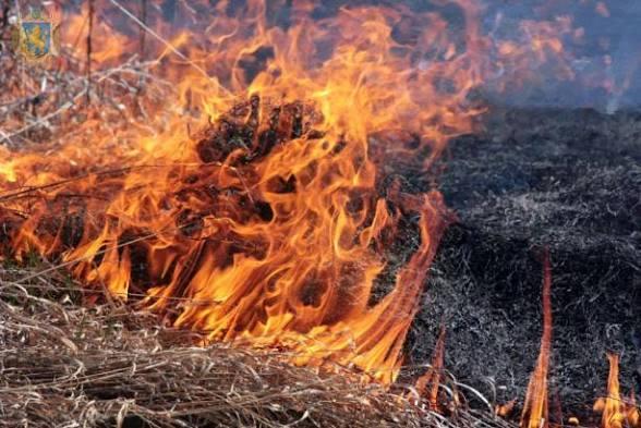 Трагедія на Прикарпатті: Смертельний наслідок спалювання сухостою